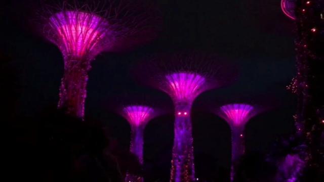 新加坡夜晚灯光秀。