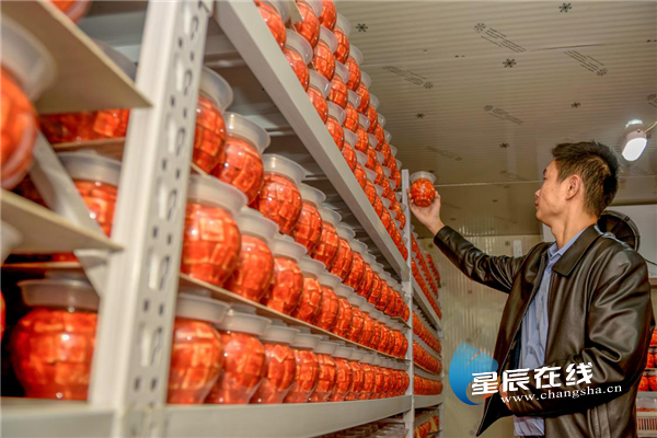 “扶”出“精优特”望城“非遗六品”改装换颜打造新食品特色产业