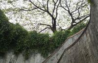 旅行日志|新加坡福康宁公园