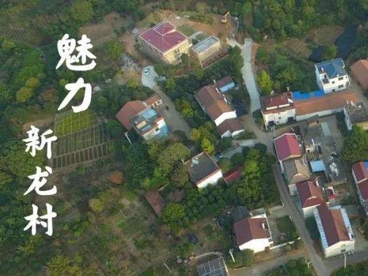 来到这样的农村，刚刚成为城里人的我又尴尬了
