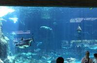 旅行日志|新加坡河川生态园