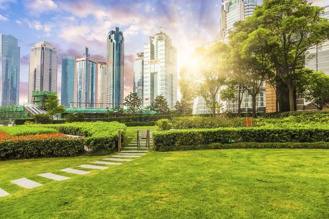 东莞新晋网红打卡点！7万㎡中央公园首次曝光！