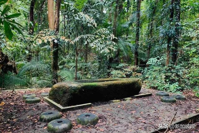 阴森、恐怖！麦里芝被遗忘的寺庙你们去过吗？