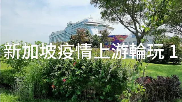 新加坡疫情上游轮玩