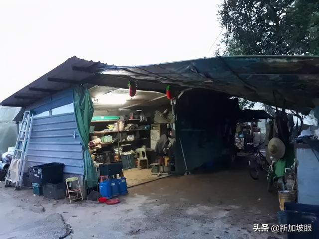 违法居留新加坡，ICA突击菜园逮捕7名男子