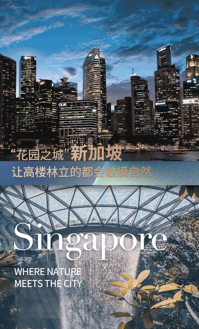 “花园之城”新加坡：让高楼林立的都会触摸自然