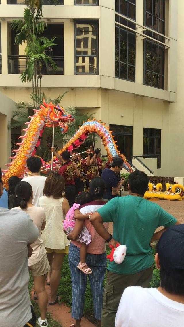 新加坡过年舞龙