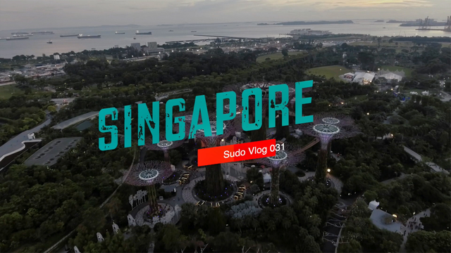 vlog 031 新加坡的展览