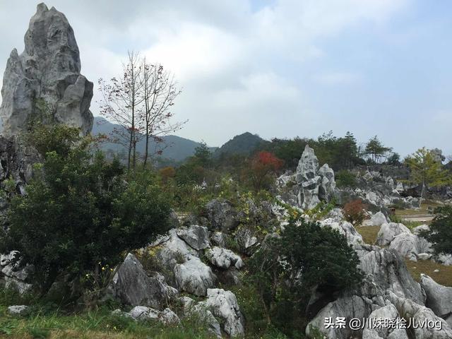 2020年浙江十大必去旅游景点，先收藏起来吧，不怕找不到了