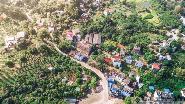 广西桂平：在致富路上不断前进的前进村