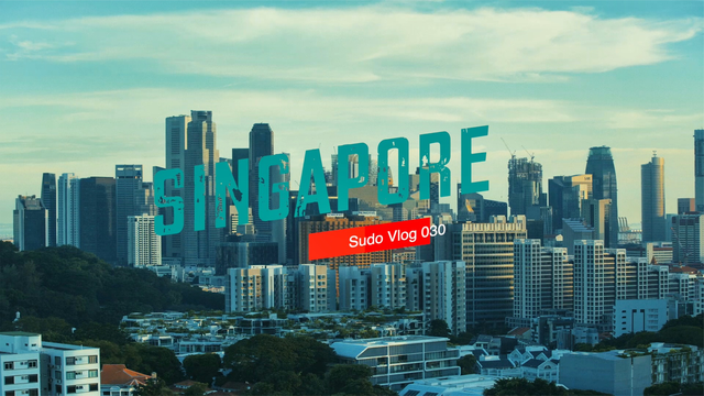 vlog 030 新加坡的吃的