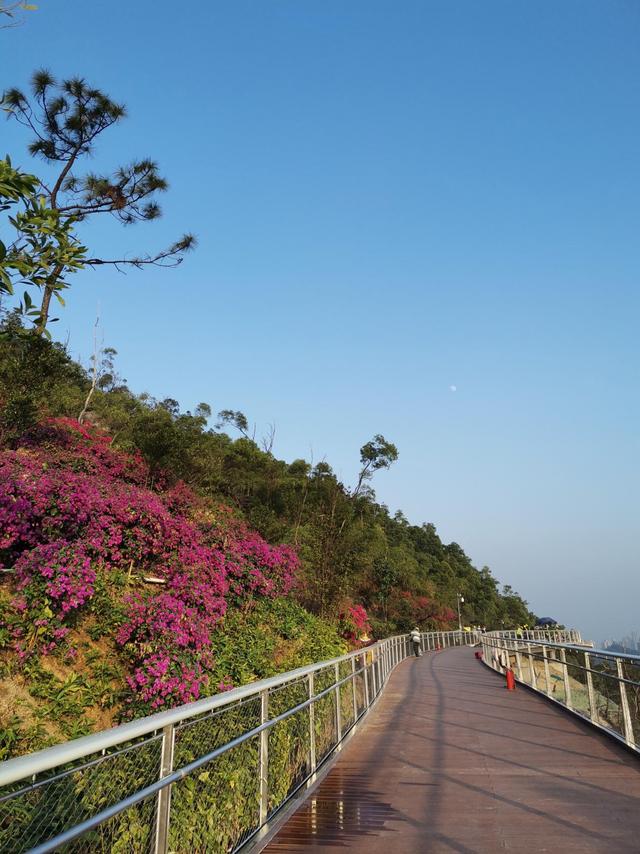 大湾风：珠海首条山地步道，让你在最美景色中漫步