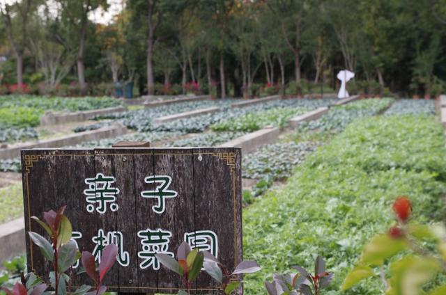 官宣！首批上海市民“家门口的好去处”公布，崇明这座新晋3A景区上榜