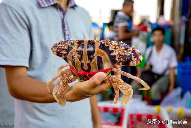 全球常见的螃蟹大全，你认识几种，帝王蟹和皇帝蟹真的不一样