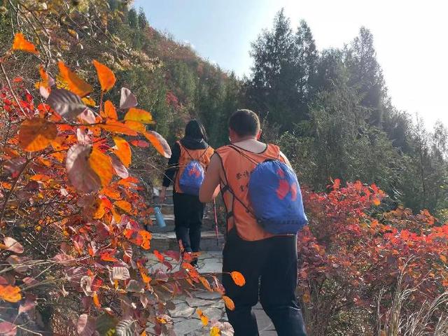 第五届“三峡红叶•夔门登山季”活动在奉节县启幕：最是橙黄叶红时！沿着中国最美步道登临三峡之巅