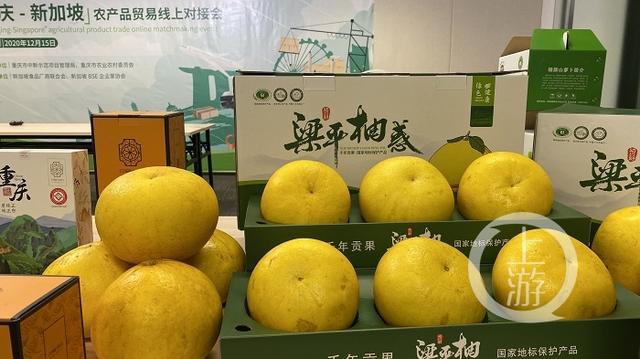 新加坡朋友点菜，重庆客商端上桌“重庆-新加坡”农产品贸易线上对接会召开