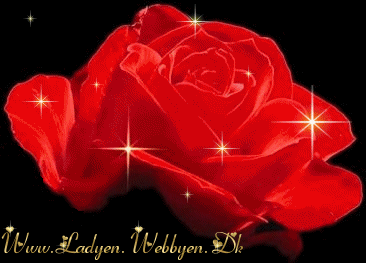 甜蜜浪漫的玫瑰爱情，闺蜜一个月被骗10万！