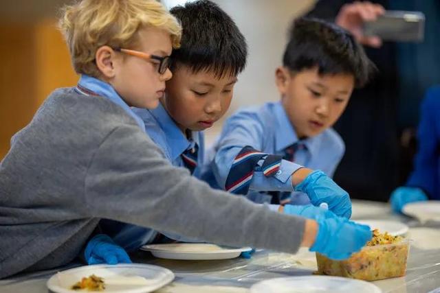 春日里学“炸春”：惠灵顿小学生初识中国节令美食文化