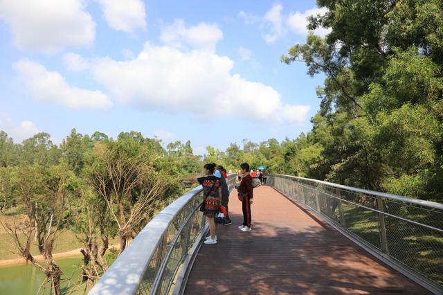 大湾风：珠海首条山地步道，让你在最美景色中漫步