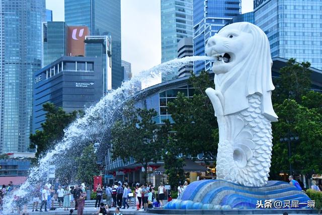 新加坡是由华人组建的国家，独立后为何不回归祖国？
