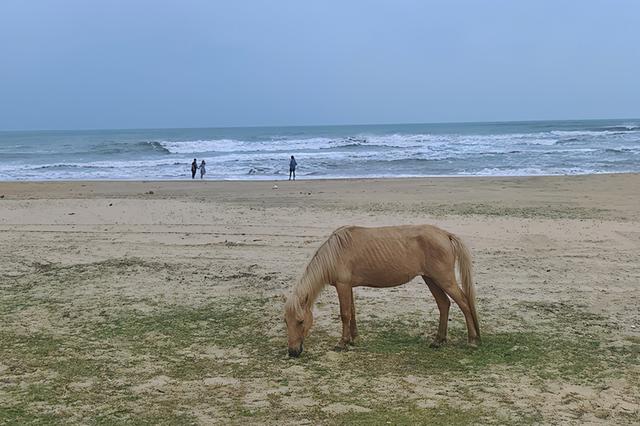 环岛自驾，去三亚赴一个碧海蓝天