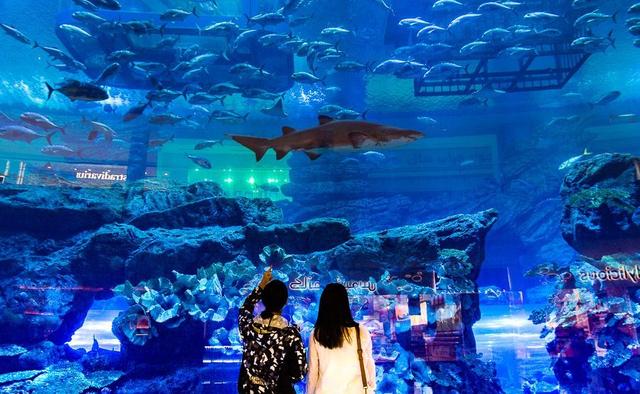 迪拜景点｜Dubai Mall迪拜水族馆&美食餐厅&音乐喷泉