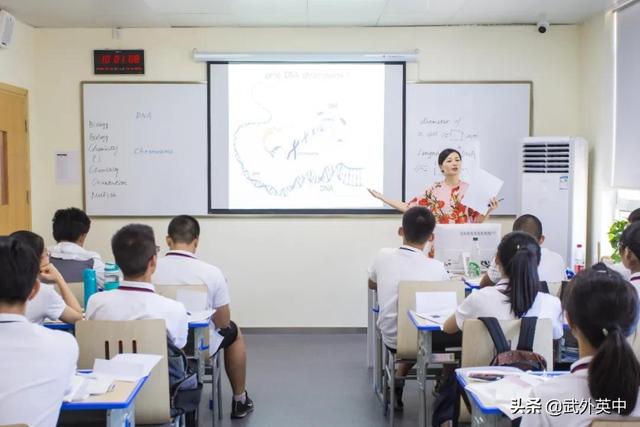 英中名师 · 双语教师篇
