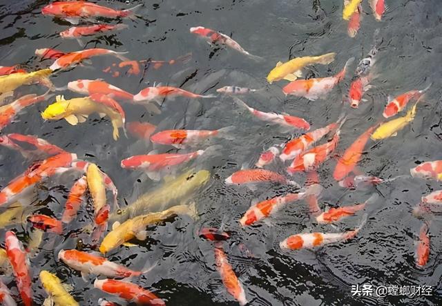 三亿需求、千亿市场！年轻人为什么喜欢算命？