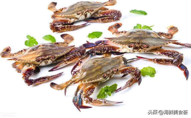 全球常见的螃蟹大全，你认识几种，帝王蟹和皇帝蟹真的不一样