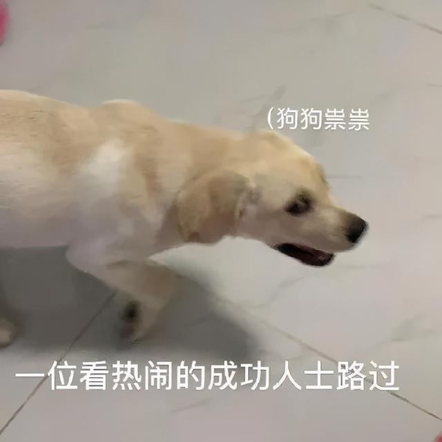 王艳：晴格格沦为豪门洗脚婢，被儿子骂是猪