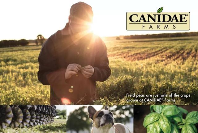 美国宠粮卡比主推鲜肉涂层高端新品，发力国内市场