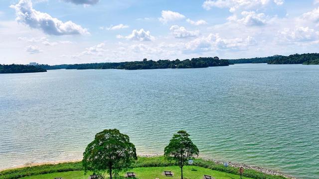 新加坡婚纱照以及网红打卡树风和日丽 景色宜人