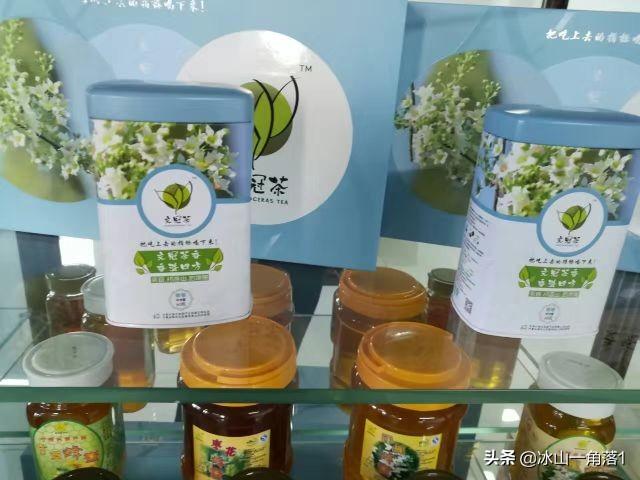 木本粮油植物文冠果
