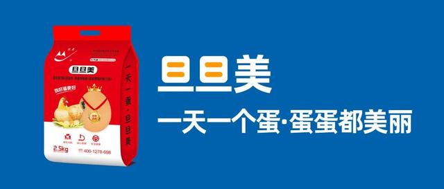 2020.12.02 今日最新报价（蛋价 毛鸡价）