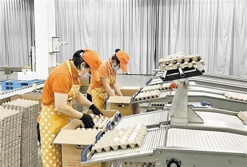 年营业额超500亿元！沙县小吃：小吃也有大功夫
