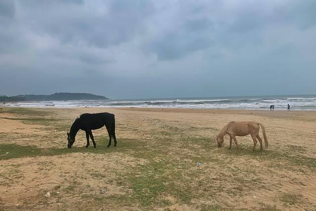 环岛自驾，去海南赴一个碧海蓝天