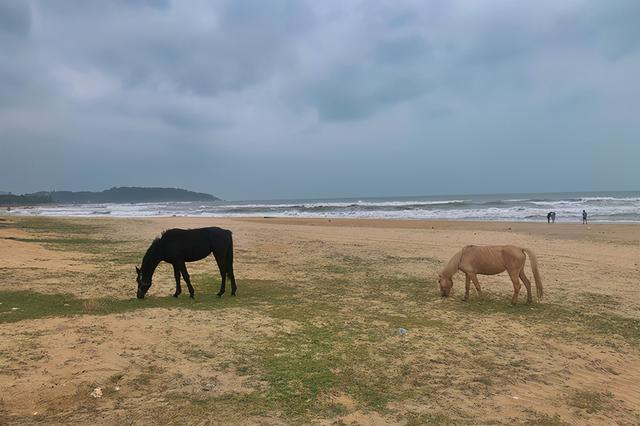 环岛自驾，去三亚赴一个碧海蓝天