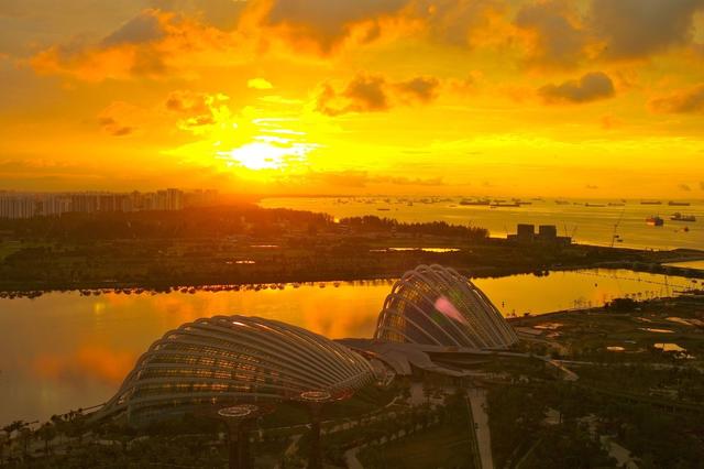 新加坡辣椒蟹 (澎湖野生石蟹)