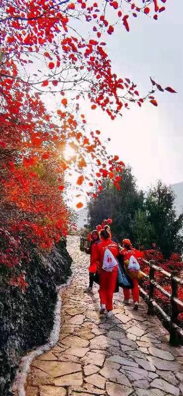 第五届“三峡红叶•夔门登山季”活动在奉节县启幕：最是橙黄叶红时！沿着中国最美步道登临三峡之巅