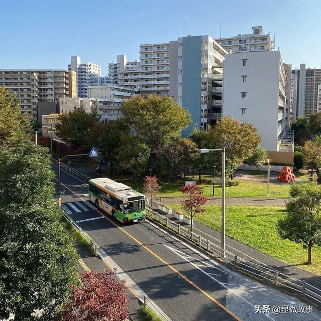 每天见不到太阳，收入不如服务员，我在日本当“社畜”