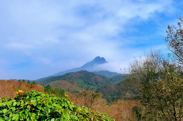 环岛自驾，去三亚赴一个碧海蓝天