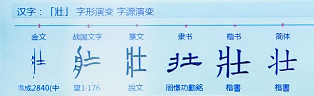 2021年指导性汉字“奘”权威发布