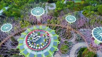 旅行日志|花园城市新加坡