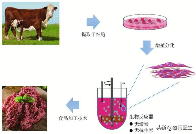 实验室里“养大”的肉，吃起来有危险吗？