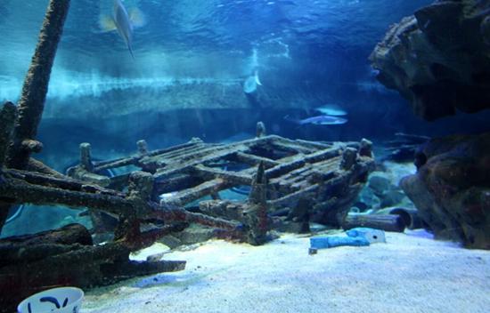 印尼打捞到中国唐代沉船，我国想迎回，被要价4000万美元