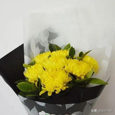 昨天，表叔去了