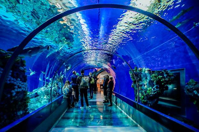 世界十大水族馆——2020年排名