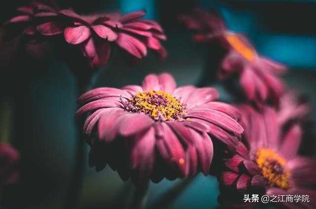 之江“创新大脑”，有你更精彩