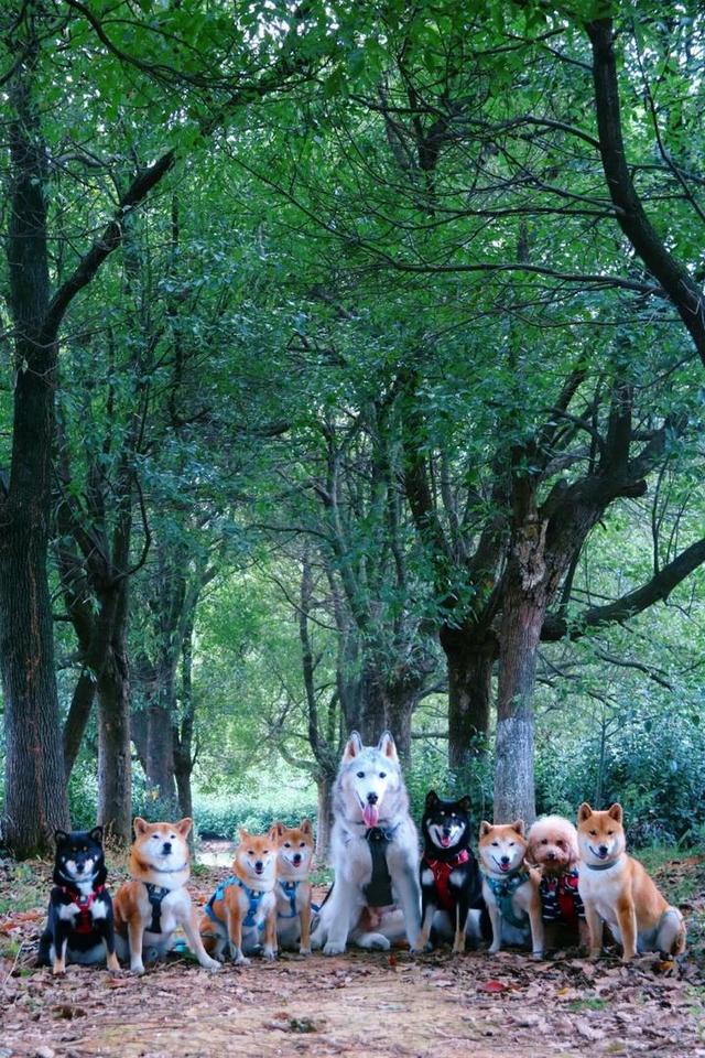 2020年只剩最后一个月！没钱没时间去旅游？最美浙江酒店初冬色都在这里