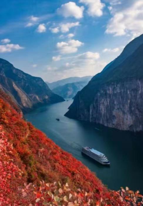 第五届“三峡红叶•夔门登山季”活动在奉节县启幕：最是橙黄叶红时！沿着中国最美步道登临三峡之巅